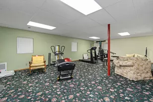 807 Hitchcock Ave, Lisle, IL 60532 - Photo 37