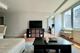 211 E Ohio St, Chicago, IL 60611 - Photo 3