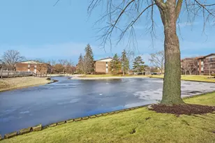 13919 James Dr, Crestwood, IL 60418 - Photo 29