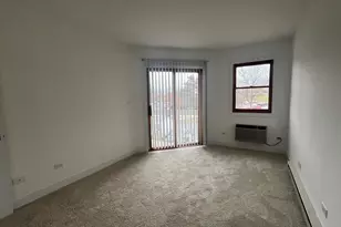 1371 Cunat Ct, Lake in the Hills, IL 60156 - Photo 17