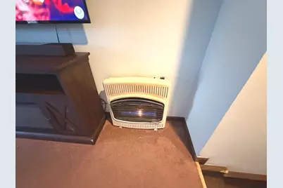 316 Maplewood Lane, Crystal Lake, IL 60014 - Photo 19