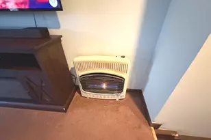 316 Maplewood Ln, Crystal Lake, IL 60014 - Photo 19