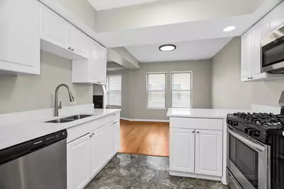 4529.5 S Drexel Boulevard #3E, Chicago, IL 60653 - Photo 3