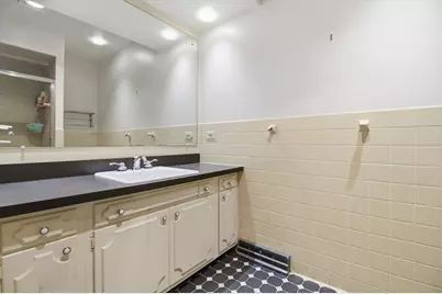 219 N Prospect Street, Roselle, IL 60172 - Photo 21