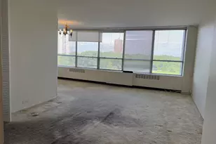 4800 S Chicago Beach Dr, Chicago, IL 60615 - Photo 5