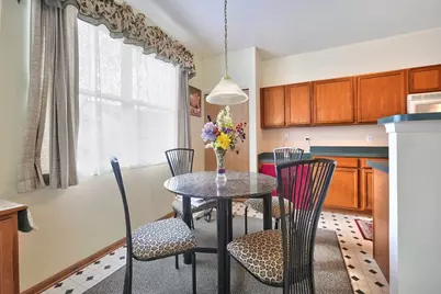 729 S Mecosta Lane, Romeoville, IL 60446 - Photo 9