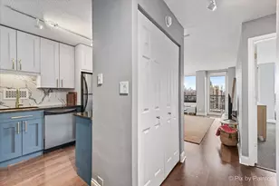 450 W Briar Pl, Chicago, IL 60657 - Photo 11