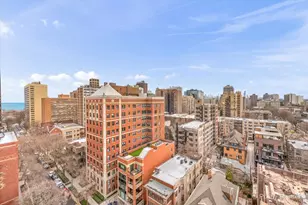 450 W Briar Pl, Chicago, IL 60657 - Photo 5