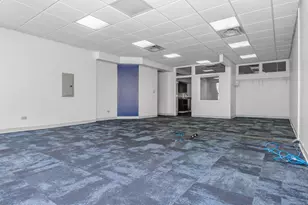 1508 E 53rd St, Chicago, IL 60615 - Photo 17