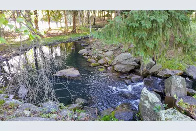 Int. Irish Ln and Lincoln Road, Harvard, IL 60033 - Photo 13