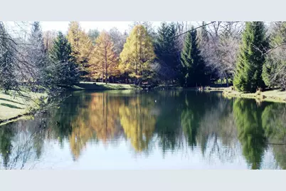 Int. Irish Ln and Lincoln Road, Harvard, IL 60033 - Photo 5