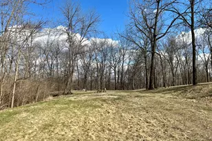 Lot 5 Thirty Foot Trail Rd, Oglesby, IL 61348 - Photo 1