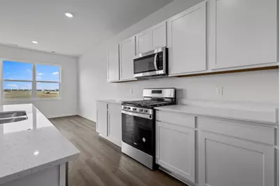 315 Snowdrop Lane, Elgin, IL 60124 - Photo 31