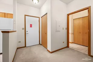 801 N McLean Blvd, Elgin, IL 60123 - Photo 3