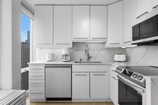 111 E Chestnut St, Chicago, IL 60611 - Photo 7