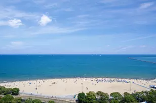 1040 N Lake Shore Dr, Chicago, IL 60611 - Photo 13