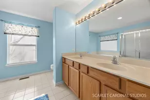 401 Bower Ln, Oswego, IL 60543 - Photo 19