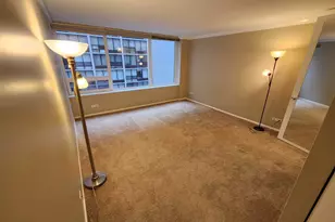 233 E Erie St, Chicago, IL 60611 - Photo 5