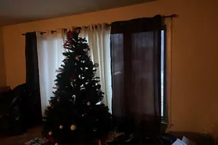 705 W Fitzhenry Ct, Glenwood, IL 60425 - Photo 3