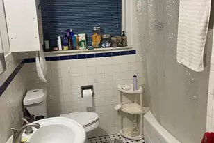 705 W Fitzhenry Ct, Glenwood, IL 60425 - Photo 13