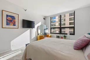 401 E Ontario St, Chicago, IL 60611 - Photo 17