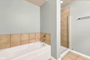 1717 S Prairie Ave, Chicago, IL 60616 - Photo 25