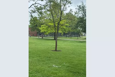 5484 W Higgins Avenue #GC, Chicago, IL 60630 - Photo 13