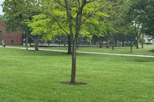 5484 W Higgins Ave, Chicago, IL 60630 - Photo 13