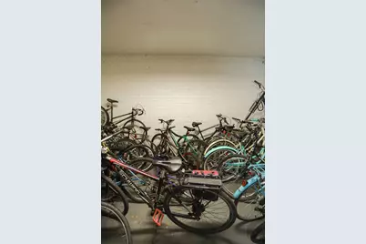 1055 W Catalpa Avenue #214, Chicago, IL 60640 - Photo 9