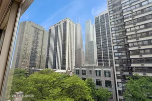 40 E Cedar St, Chicago, IL 60611 - Photo 19