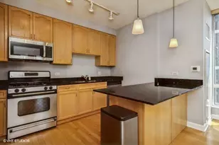 1250 S Michigan Ave, Chicago, IL 60605 - Photo 5