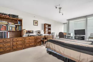 9715 Woods Dr, Skokie, IL 60077 - Photo 15