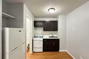 4543 N Dover St, Chicago, IL 60640 - Photo 3