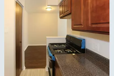 1040 W Hollywood Avenue #208, Chicago, IL 60660 - Photo 5