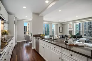 415 E North Water St, Chicago, IL 60611 - Photo 13