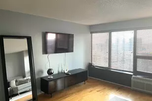 30 E Huron St, Chicago, IL 60611 - Photo 3