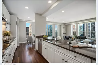 415 E North Water Street #3206, Chicago, IL 60611 - Photo 19