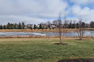 24412 W Alexis Ln, Plainfield, IL 60585 - Photo 37