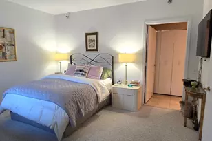 57 E Delaware Pl, Chicago, IL 60611 - Photo 7