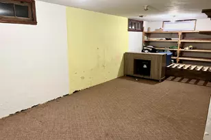 428 E Thompson St, Princeton, IL 61356 - Photo 15