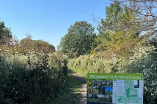 2150 W Foster Ave, Chicago, IL 60625 - Photo 33