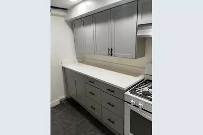 1922 S Springfield Avenue #G, Chicago, IL 60623 - Photo 3