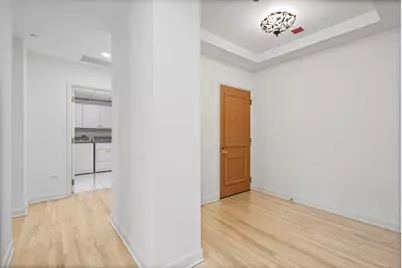 415 E North Water Street #1003, Chicago, IL 60611 - Photo 3