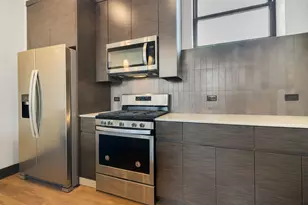 6 E Downer Pl, Aurora, IL 60505 - Photo 9