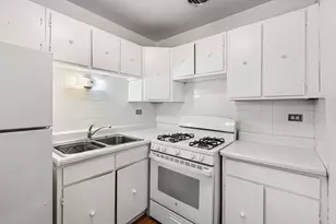 5310 N Chester Ave, Chicago, IL 60656 - Photo 15