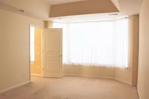 12392 Wedgemere Dr, Huntley, IL 60142 - Photo 13