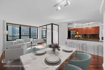 222 E Pearson Street #1406, Chicago, IL 60611 - Photo 3