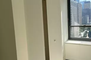 222 E Pearson St, Chicago, IL 60611 - Photo 17