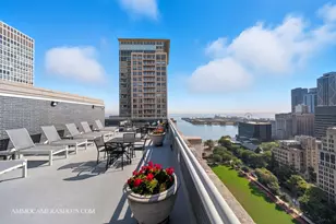 222 E Pearson St, Chicago, IL 60611 - Photo 23