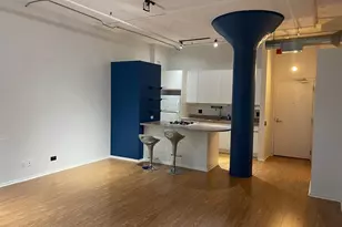 130 S Canal St, Chicago, IL 60606 - Photo 19